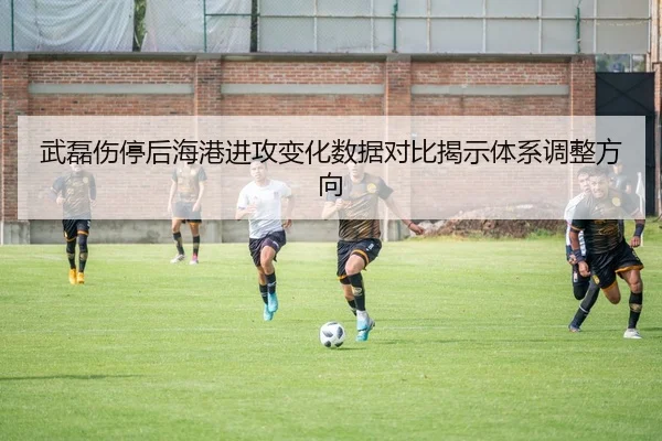 武磊伤停后海港进攻变化数据对比揭示体系调整方向